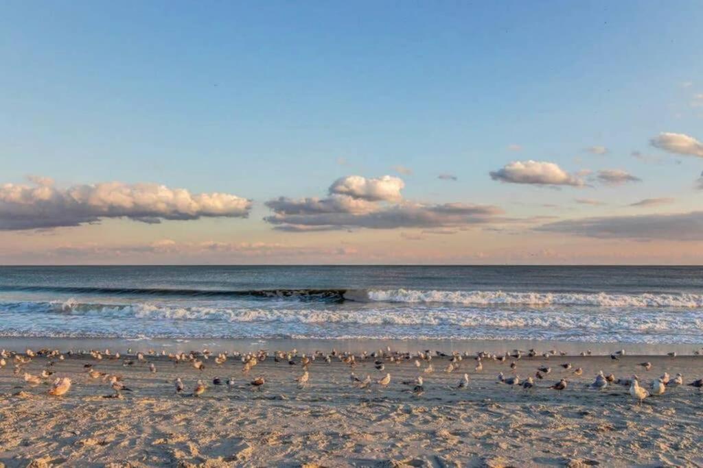 *Renovated Oceanfront Condo*Queen Beds*Pools*Hot Tubs*More*P220 شاطئ ميرتل المظهر الخارجي الصورة