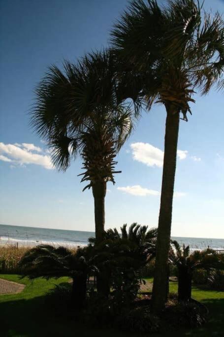 *Renovated Oceanfront Condo*Queen Beds*Pools*Hot Tubs*More*P220 شاطئ ميرتل المظهر الخارجي الصورة